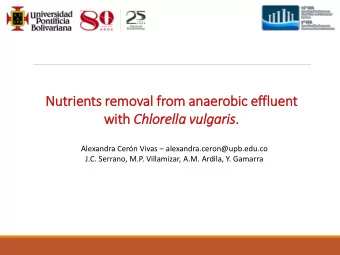 wit ith Chlorella vulg  lgaris is . Alexandra Cern Vivas  alexandra.ceron@upb.edu.co  J.C.