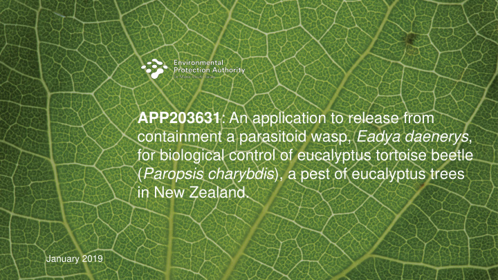 for biological control of eucalyptus tortoise beetle