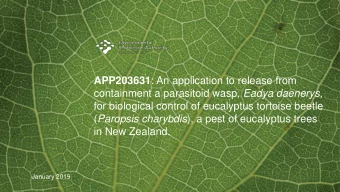 for biological control of eucalyptus tortoise beetle ( Paropsis charybdis ), a pest of eucalyptus