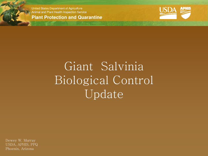 giant salvinia biological control update