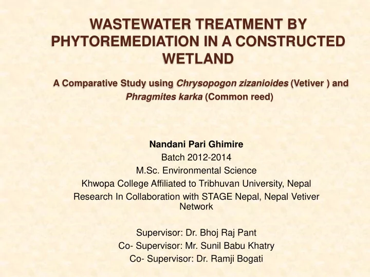 wastewater treatment by phytoremediation in a constructed