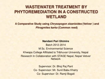 WASTEWATER TREATMENT BY  PHYTOREMEDIATION IN A CONSTRUCTED  WETLAND A Comparative Study using