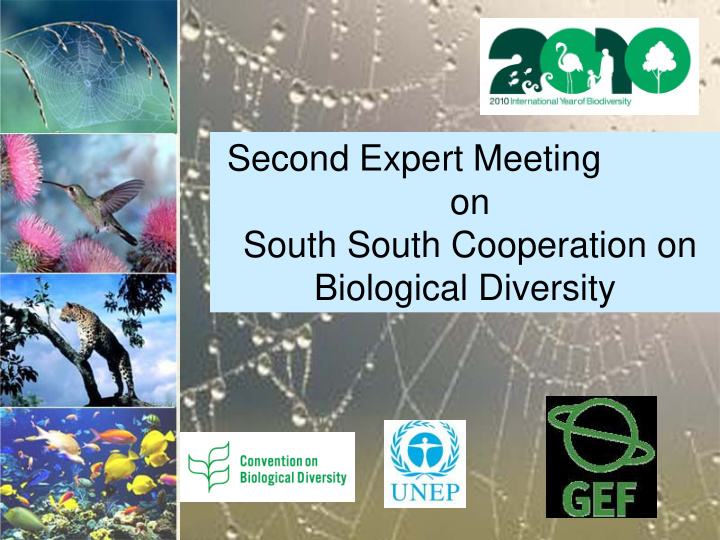 second expert meeting on south south cooperation on