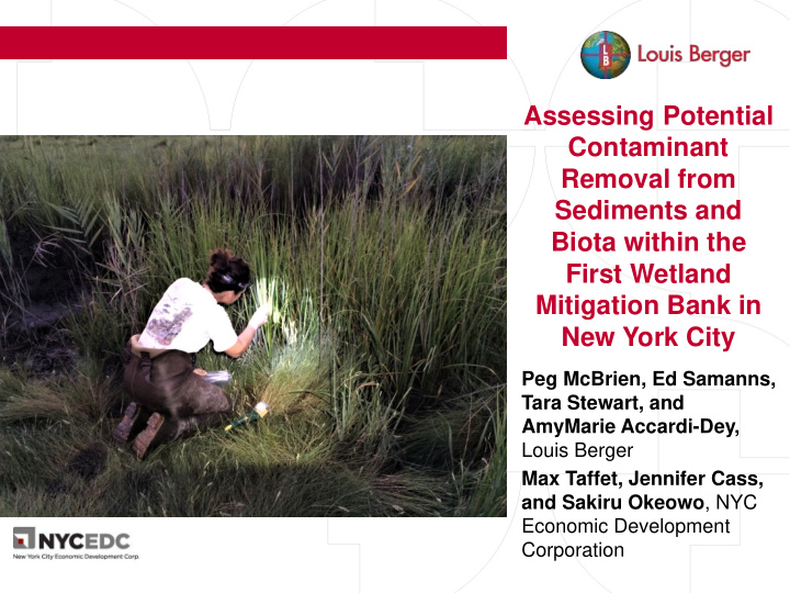 assessing potential contaminant removal from sediments