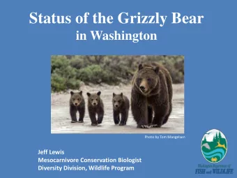 Status of the Grizzly Bear  in Washington  Photo by Tom Mangelsen  Jeff Lewis  Mesocarnivore