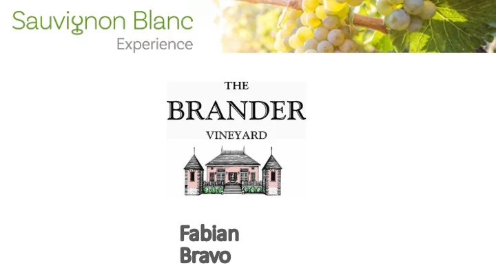 fa fabian br bravo sauvignonblancexperience com brander