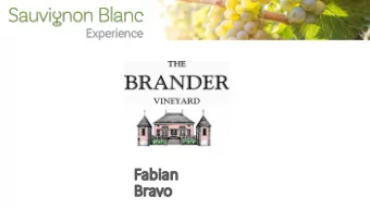 Fa  Fabian  Br  Bravo  SauvignonBlancExperience.com Brander 2016, au Naturel, Sauvignon Blanc  The
