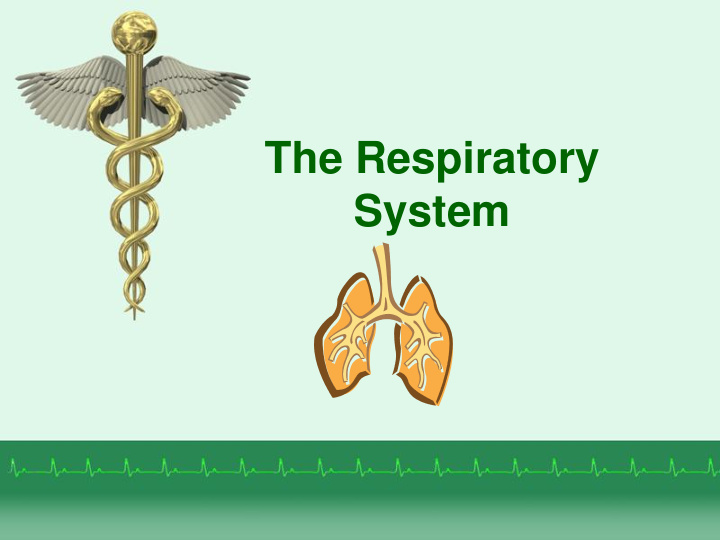 the respiratory system respiratory anatomy