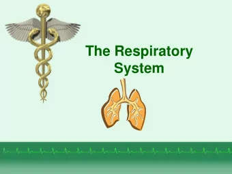 The Respiratory  System  Respiratory Anatomy  Upper  respiratory tract  Nose  Nasal