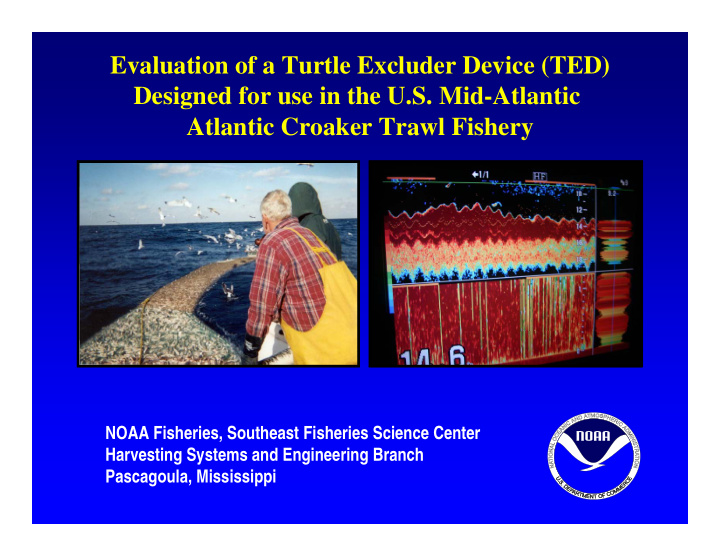 evaluation of a turtle excluder device ted designed for