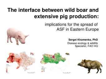 The interface between wild boar and extensive pig production:  implications for the spread of  ASF