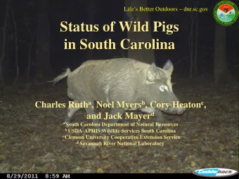 Status of Wild Pigs  in South Carolina Charles Ruth a , Noel Myers b , Cory Heaton c , and Jack
