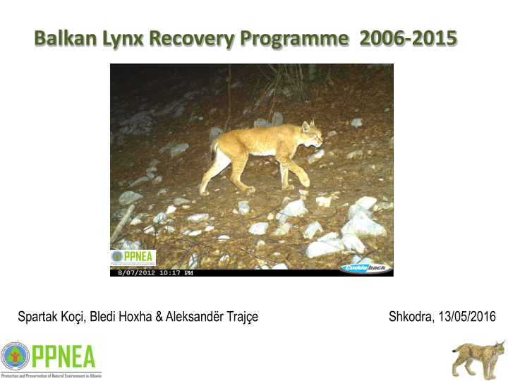balkan lynx recovery programme 2006 2015