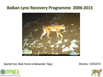 Balkan Lynx Recovery Programme  2006-2015  Spartak Koi, Bledi Hoxha &amp; Aleksandr Traje