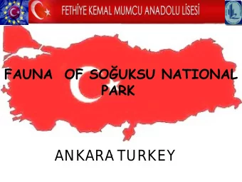 ANKARA  TURKEY  Among the wildlife that is found in the national park are wild boars, bears,