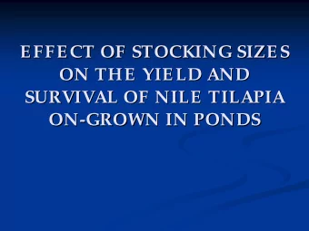 EFFECT OF STOCKING SIZES  EFFECT OF STOCKING SIZES  ON THE YIELD AND  ON THE YIELD AND  SURVIVAL OF