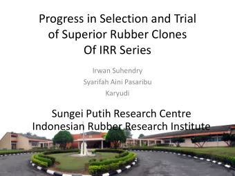 of Superior Rubber Clones  Of IRR Series  Irwan Suhendry  Syarifah Aini Pasaribu  Karyudi  Sungei