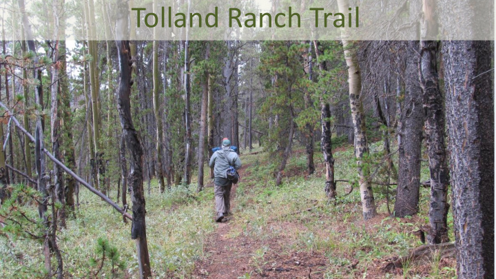 tolland ranch trail