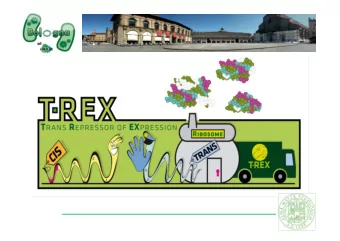WHATS T-REX?  Control the synthesis of any protein of interest  Silence the protein