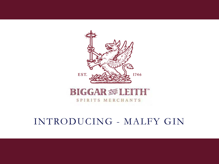 introducing malfy gin the team