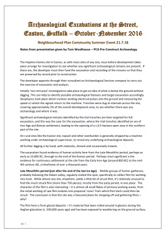 Arch  Archaeo  aeologica  logical Exca  l Excava  vatio  tions at the S  s at the Street,  treet,