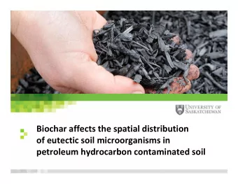 Biochar affects the spatial distribution  of eutectic soil microorganisms in  petroleum hydrocarbon