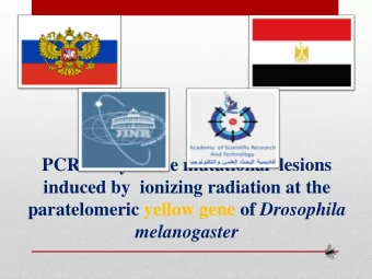induced by  ionizing radiation at the paratelomeric yellow gene of Drosophila  melanogaster  Team