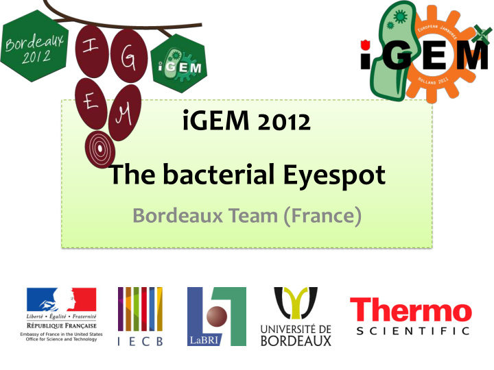 igem 2012 the bacterial eyespot