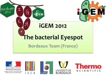 iGEM 2012  The bacterial Eyespot  Bordeaux Team (France)  Denis Dupuy  Sophie Vaud  Antoine Ribeiro