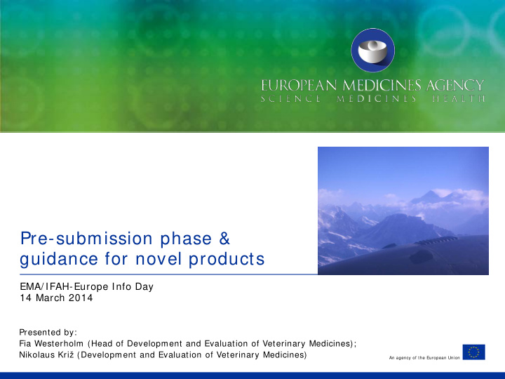 pre submission phase guidance for novel products