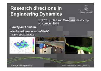 Research directions in  Engineering Dynamics  COPPE/UFRJ and Swansea Workshop  November 2014