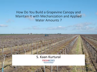 S. Kaan Kurtural  What is the Canopy?  Shoot system of the grapevine:  Stems  Leaves