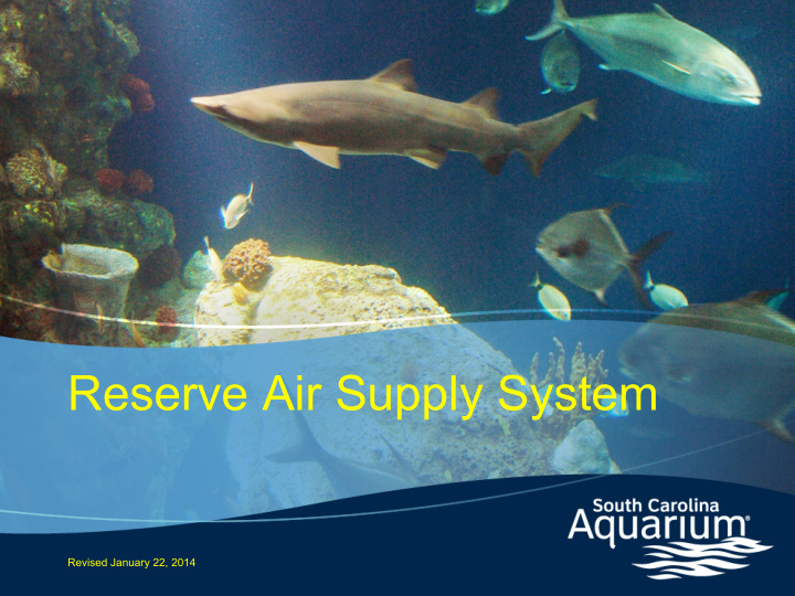 reserve air supply system