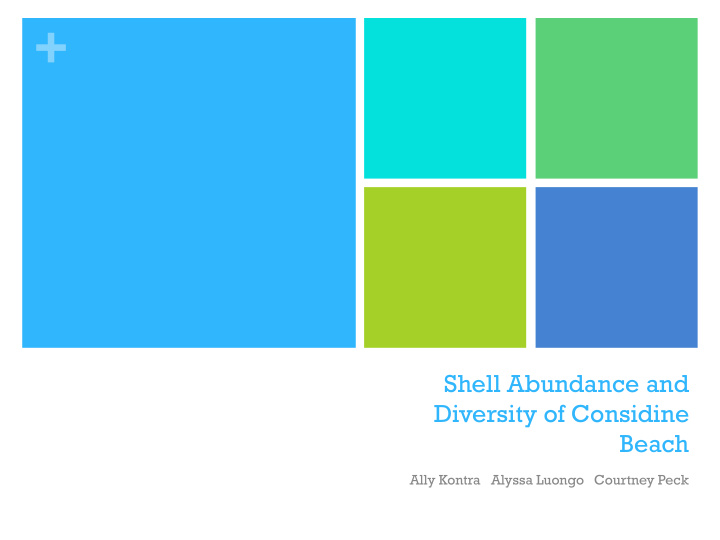 shell abundance and diversity of considine beach ally