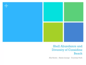 +  Shell Abundance and  Diversity of Considine  Beach  Ally Kontra   Alyssa Luongo   Courtney Peck
