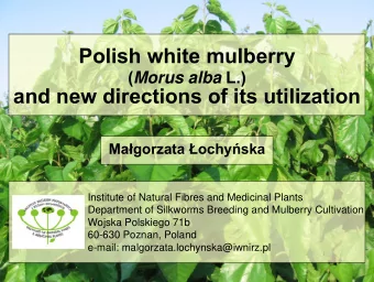 Polish white mulberry ( Morus alba L.)  and new directions of its utilization Ma  gorzata  ochy