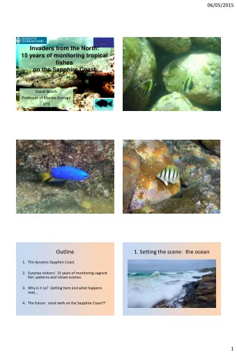 Invaders from the North:  15 years of monitoring tropical  fishes  on the Sapphire Coast  David