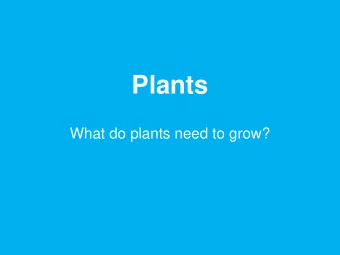 Plants  What do plants need to grow?  Parts of a Plant  Can you name the four main parts of a