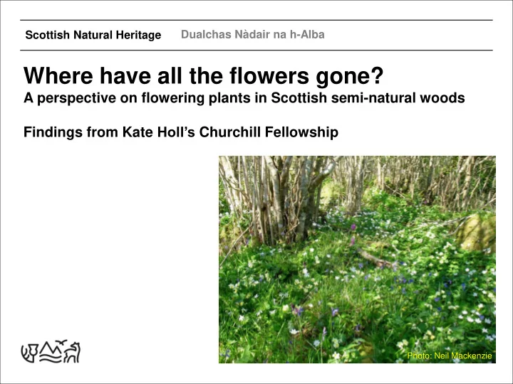 where have all the flowers gone