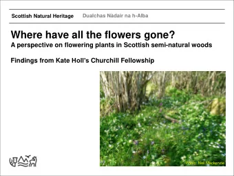 Where have all the flowers gone?  A perspective on flowering plants in Scottish semi-natural woods