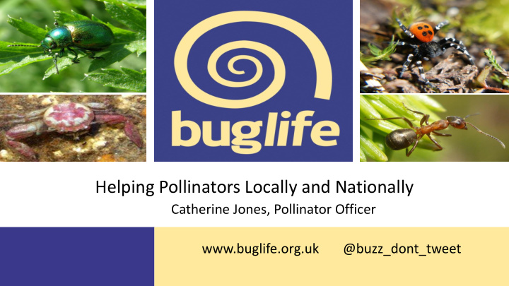 helping pollinators locally and nationally