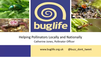 Helping Pollinators Locally and Nationally  Catherine Jones, Pollinator Officer  www.buglife.org.uk