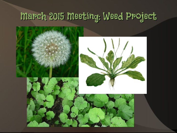 march 2015 meeting weed project march 2015 meeting weed