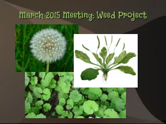 March 2015 Meeting: Weed Project  March 2015 Meeting: Weed Project  Thank you!  Thank you!