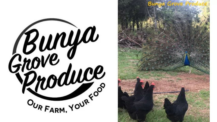 bunya grove produce