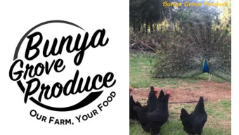 Bunya Grove Produce  Bunya Grove Produce  Our Farm Your Food  255 Amamoor Creek Road, Amamoor  400
