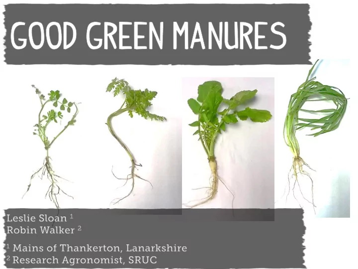 crops grown with the intention that they will