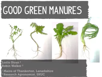 Crops grown with the intention that they will be ploughed in to benefit the following crop