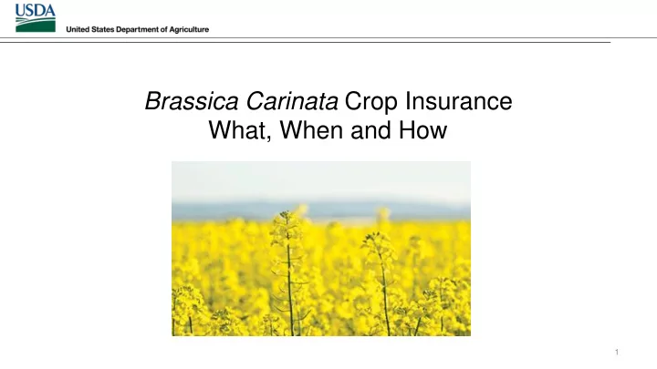brassica carinata crop insurance what when and how