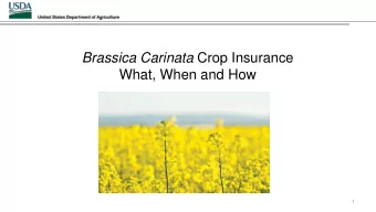 Brassica Carinata Crop Insurance  What, When and How  1 Carinata Coverage  Yield Protection Only